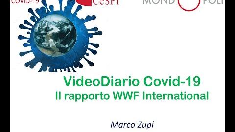 Embedded thumbnail for Il rapporto WWF internazionale